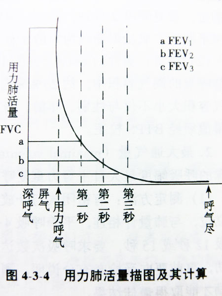 918博天堂